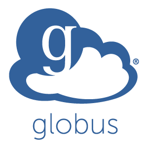 Light Logo