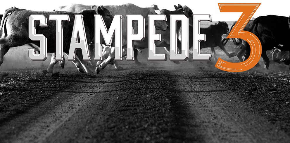 ../_images/stampede3.jpg